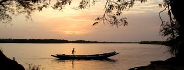 JOURNEE BROUSSE - ILE DU SALOUM