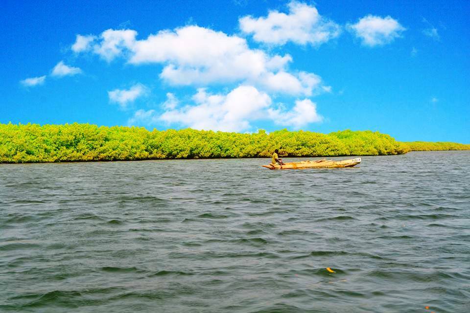 Le Delta du Saloum